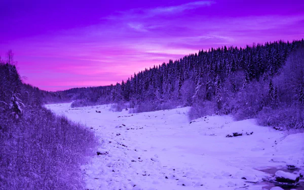 HD desktop wallpaper capturing a snowy winter landscape with pine trees under a vibrant purple and pink sky.