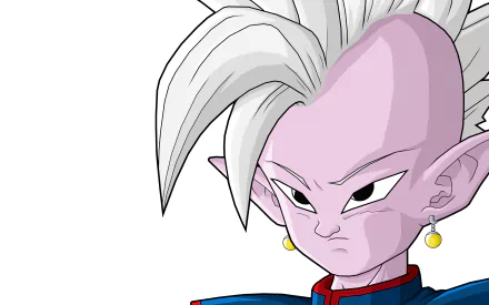 An HD desktop wallpaper featuring Supreme Kai from Dragon Ball Z, showcasing the character's distinctive features and striking expression in an anime style.