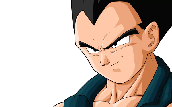 HD desktop wallpaper featuring Vegeta from Dragon Ball GT. The image showcases Vegeta with a stern expression, highlighting his iconic character from the anime series.