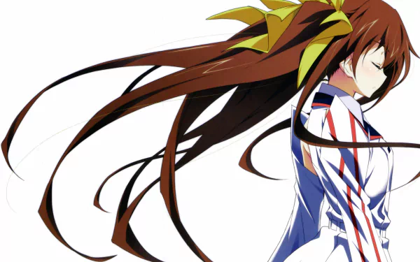 Anime Infinite Stratos HD Desktop Wallpaper | Background Image