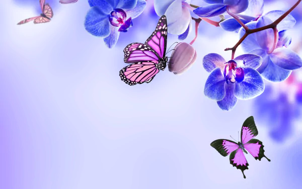 A vibrant HD wallpaper featuring blue orchids and delicate butterflies, set against a soft purple background, celebrating the beauty of nature.