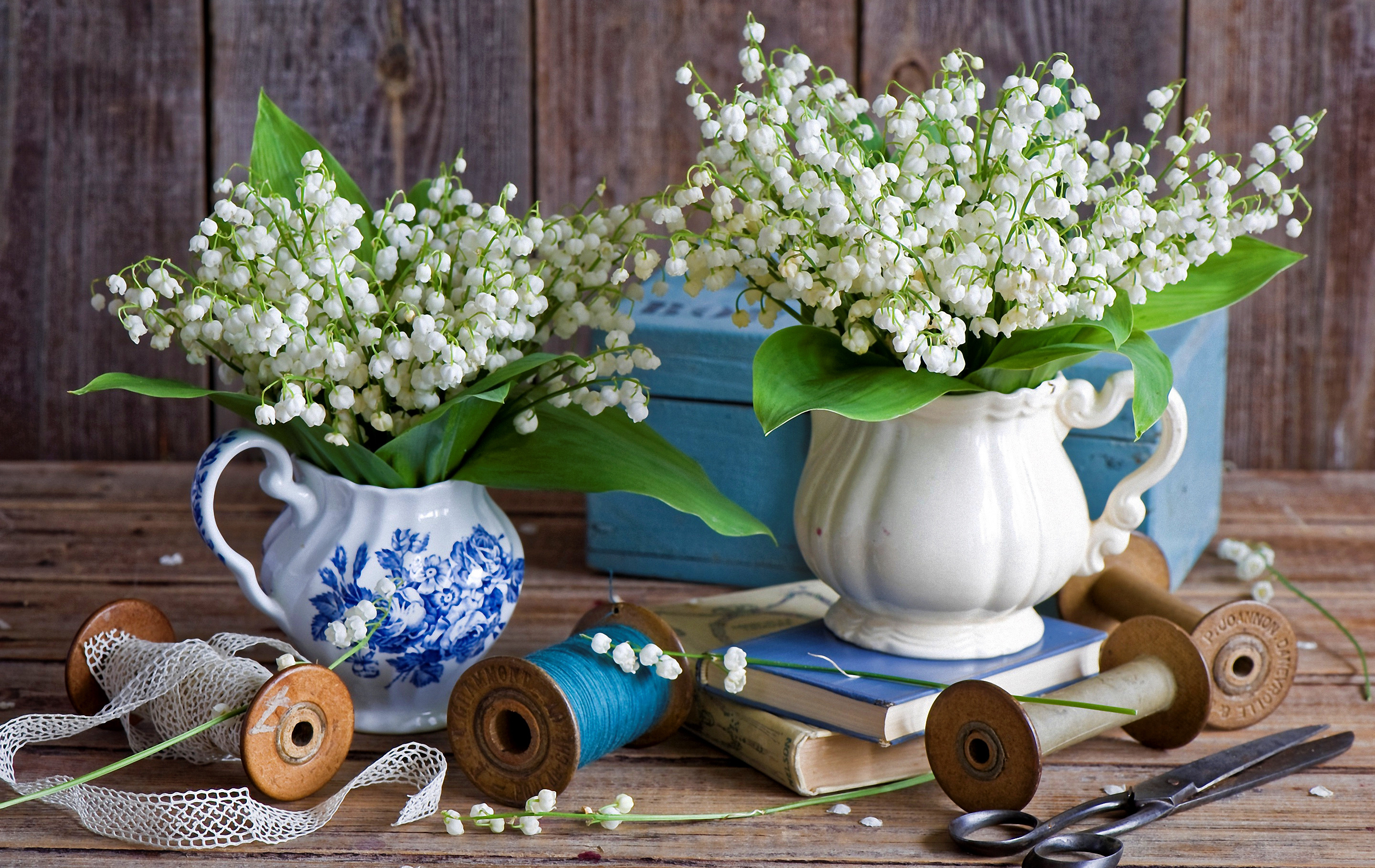 photography-still-life-hd-wallpaper