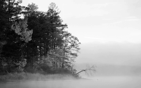 HD desktop wallpaper capturing dense trees emerging through thick fog over a calm lake, creating a serene and mysterious nature scene.