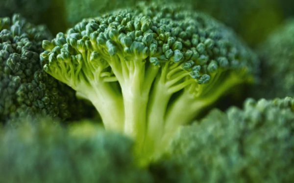 food broccoli HD Desktop Wallpaper | Background Image
