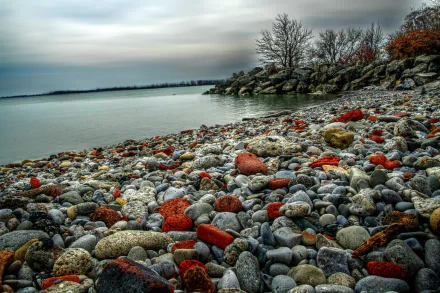 HD desktop wallpaper featuring a stunning HDR image of a rocky coastline with vibrant stones, calm waters, and bare trees in the background, capturing the serene essence of nature.