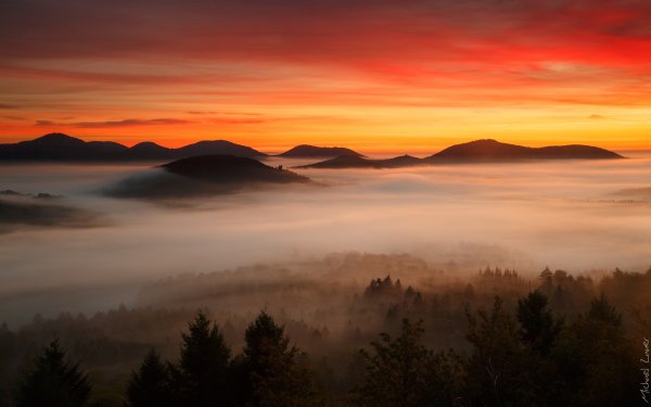 Earth Fog Dawn Mountain Forest Cloud Nature HD Wallpaper | Background Image