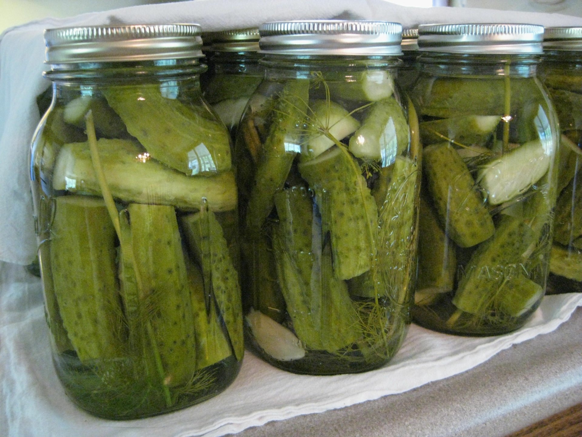 HD desktop wallpaper showing three jars filled with green pickles immersed in brine, highlighting food preservation and homemade pickling.