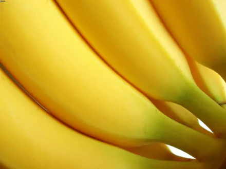 Close-up of ripe bananas with vibrant yellow skin, captured in 4K Ultra HD quality as a vivid PC desktop wallpaper and background.