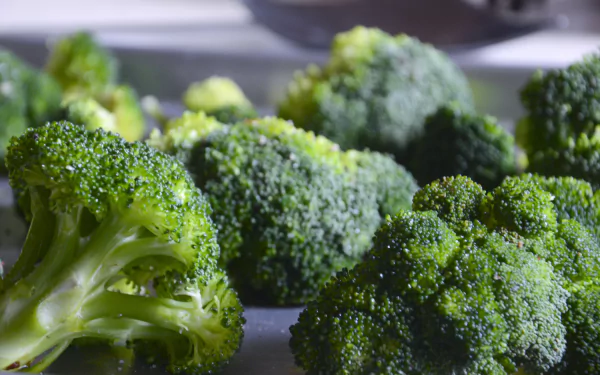 food broccoli HD Desktop Wallpaper | Background Image