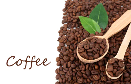 spoon coffee beans food coffee HD Desktop Wallpaper | Background Image