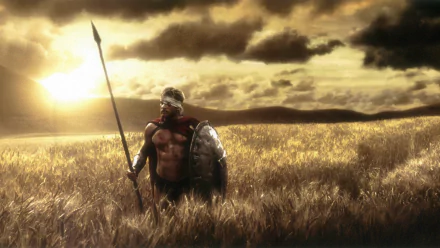 HD desktop wallpaper featuring a Spartan warrior from the movie 300 standing in a golden field under a dramatic cloudy sky at sunset.