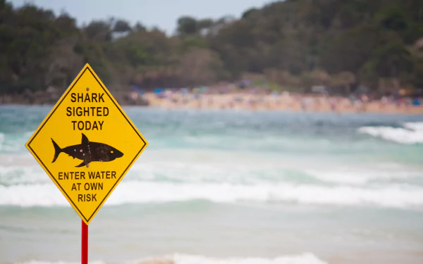 Misc sign HD Desktop Wallpaper | Background Image