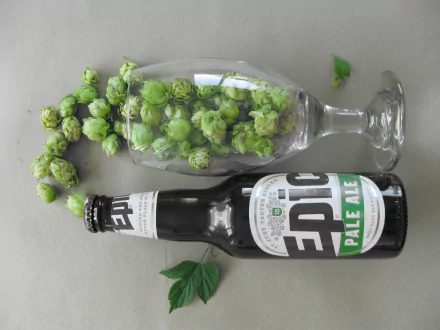 food beer HD Desktop Wallpaper | Background Image