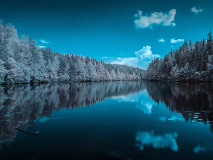 nature reflection HD Desktop Wallpaper | Background Image