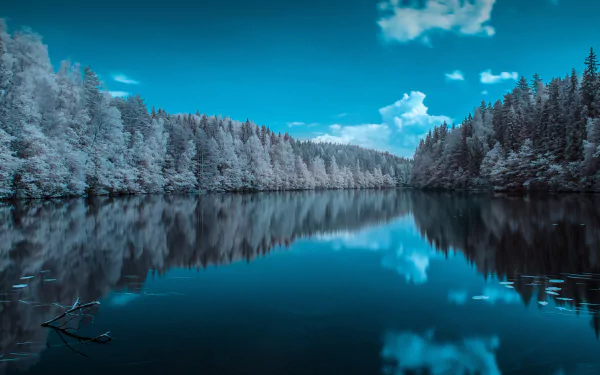 4K Ultra HD PC desktop wallpaper: a turquoise-tinted forest and clouds mirrored perfectly in a still, glassy lake under a bright blue sky.