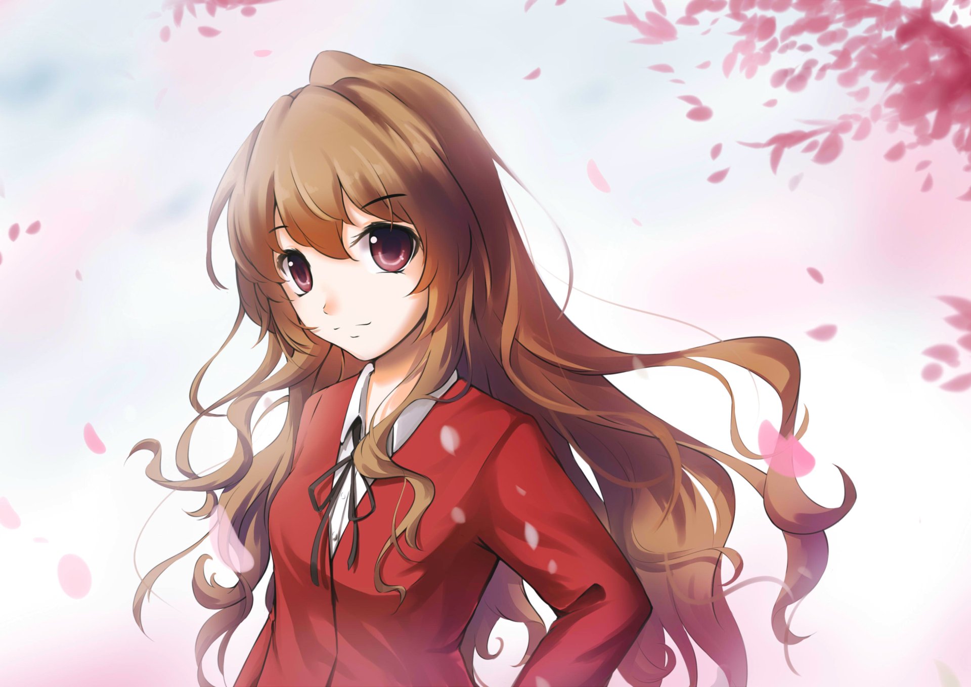 Toradora! HD Wallpaper  Background Image  3507x2480  ID:663095 - Wallpaper Abyss