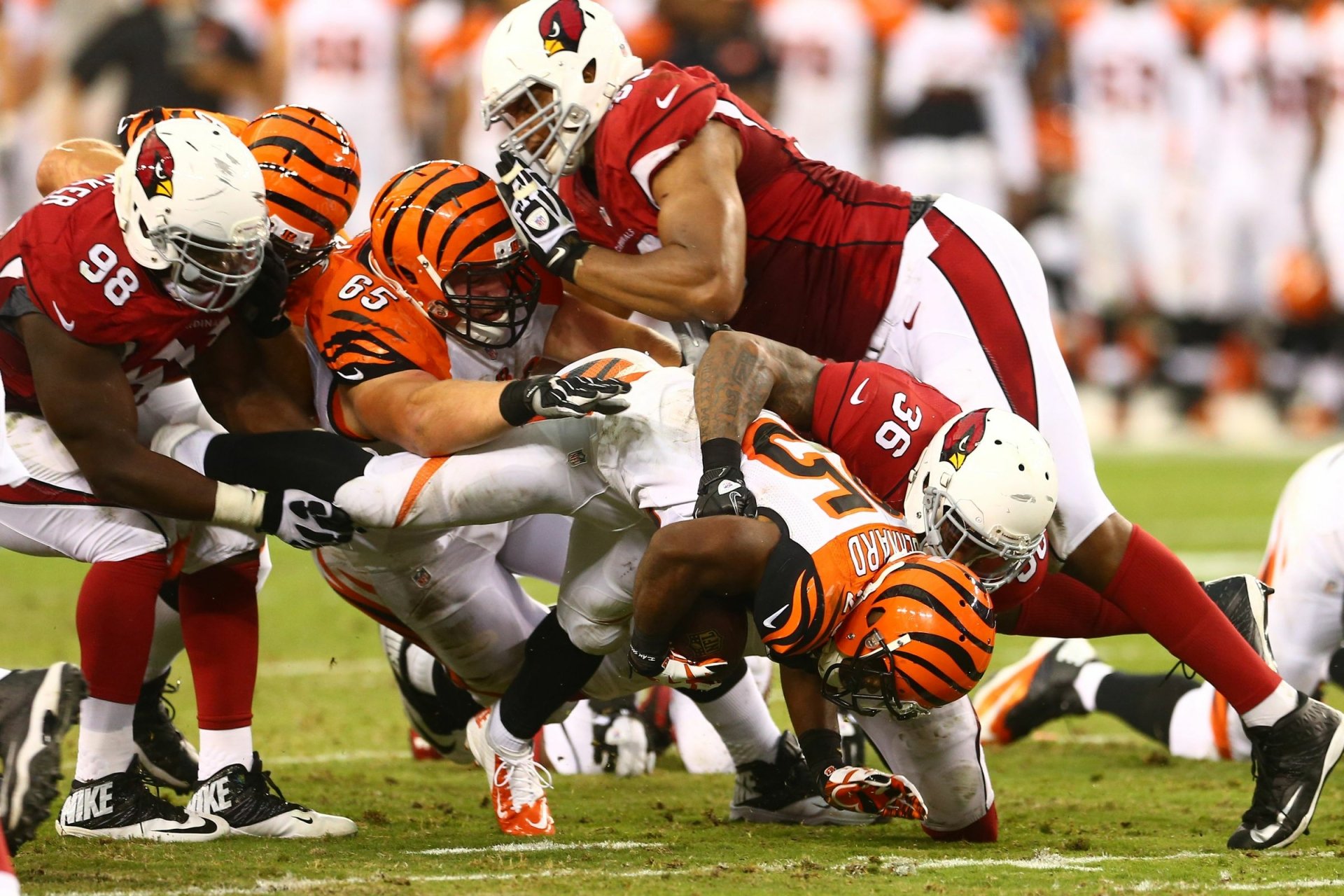 Download Cincinnati Bengals Sports HD Wallpaper