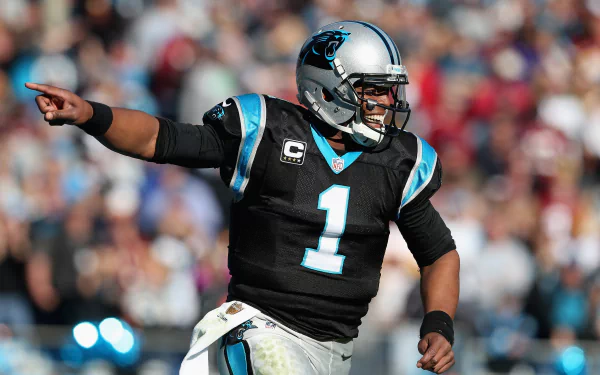 Carolina Panthers Sports HD Desktop Wallpaper | Background Image