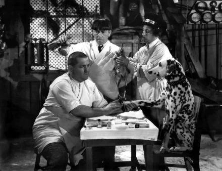 TV Show The Three Stooges HD Desktop Wallpaper | Background Image