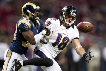 Baltimore Ravens Sports HD Desktop Wallpaper | Background Image