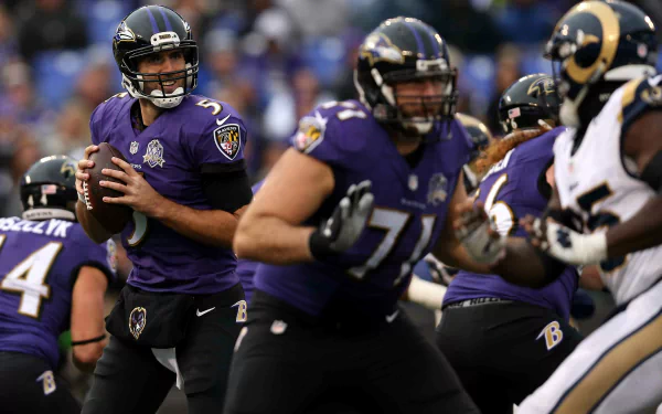 Baltimore Ravens Sports HD Desktop Wallpaper | Background Image