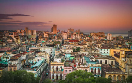 man made Havana HD Desktop Wallpaper | Background Image