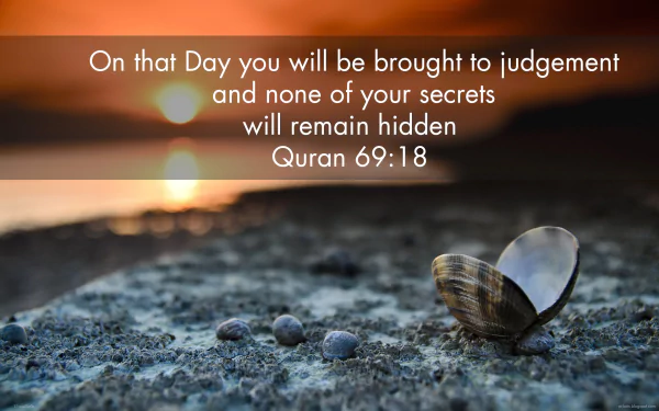 HD PC desktop wallpaper featuring a Quranic verse about judgement, set against a serene close-up of an open seashell on a rocky shore at sunset.