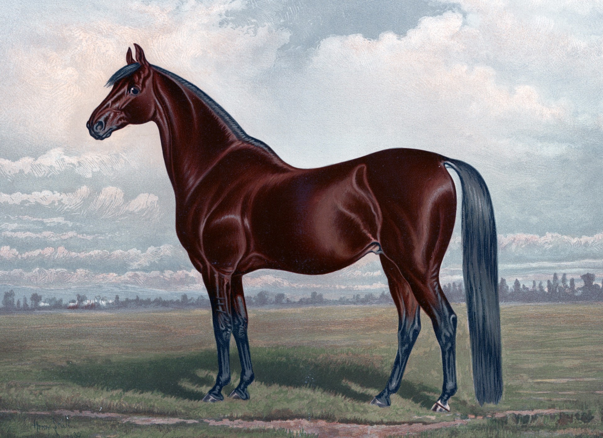 Chestnut Horse Painting by Karen Arnold