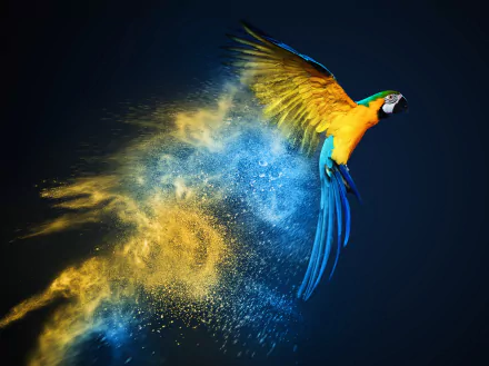HD desktop wallpaper featuring a vibrant blue-and-yellow macaw in mid-flight, surrounded by dynamic bursts of blue and yellow colors against a dark background.
