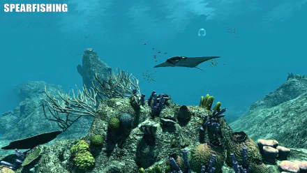 stingray underwater video game Spearfishing HD Desktop Wallpaper | Background Image