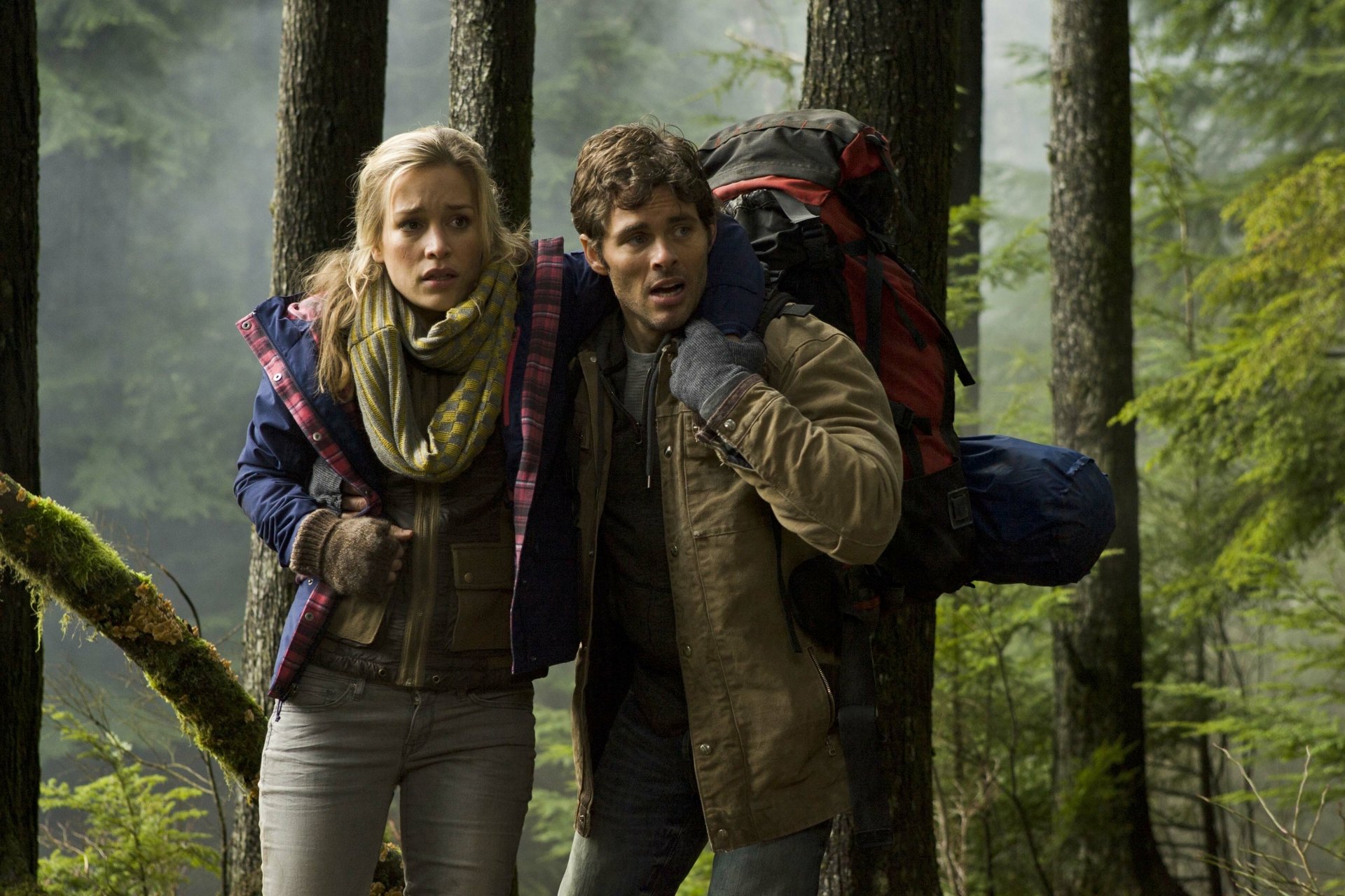 Download Movie Into The Grizzly Maze HD Wallpaper