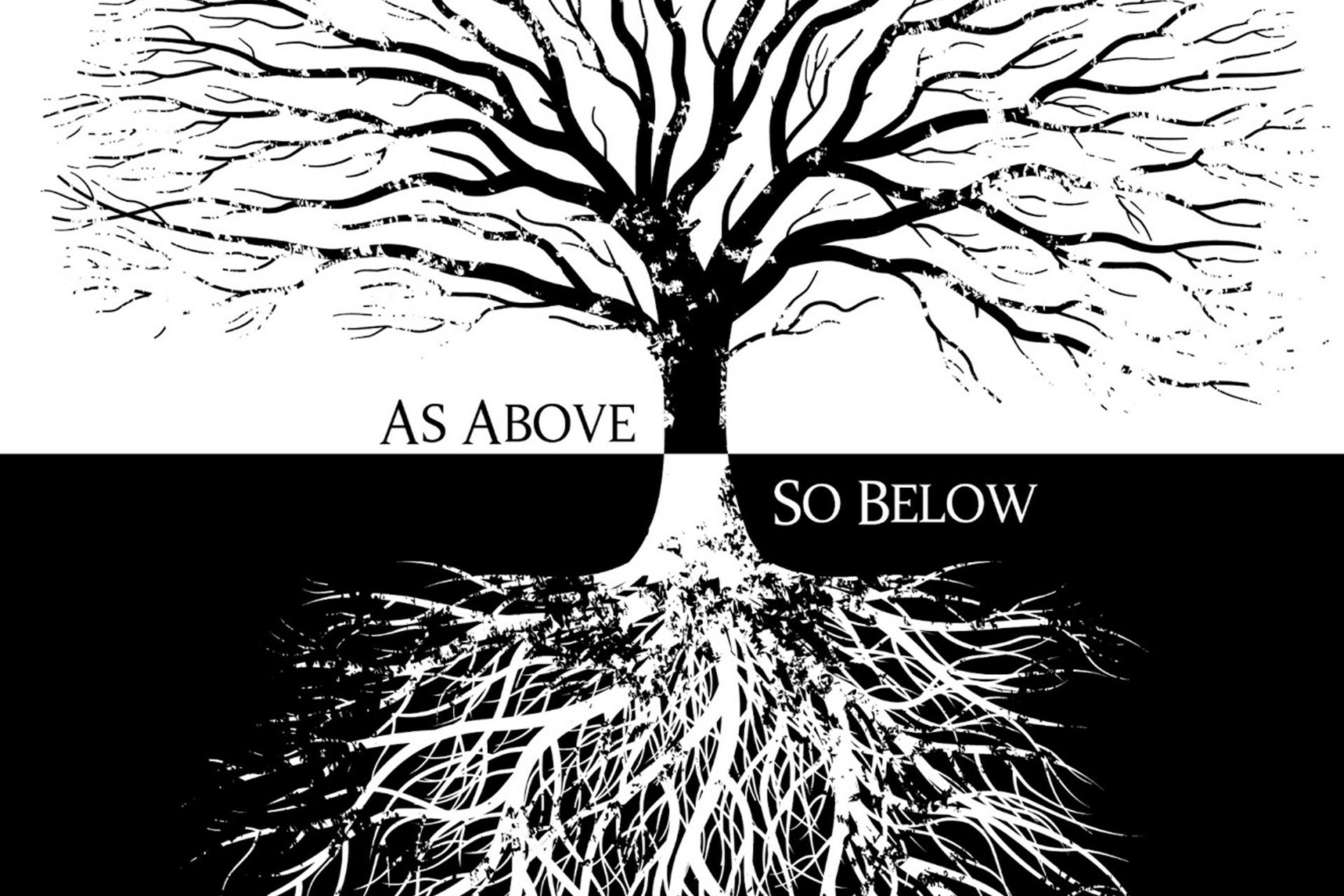 As Above So Below  Lillian Sizemore