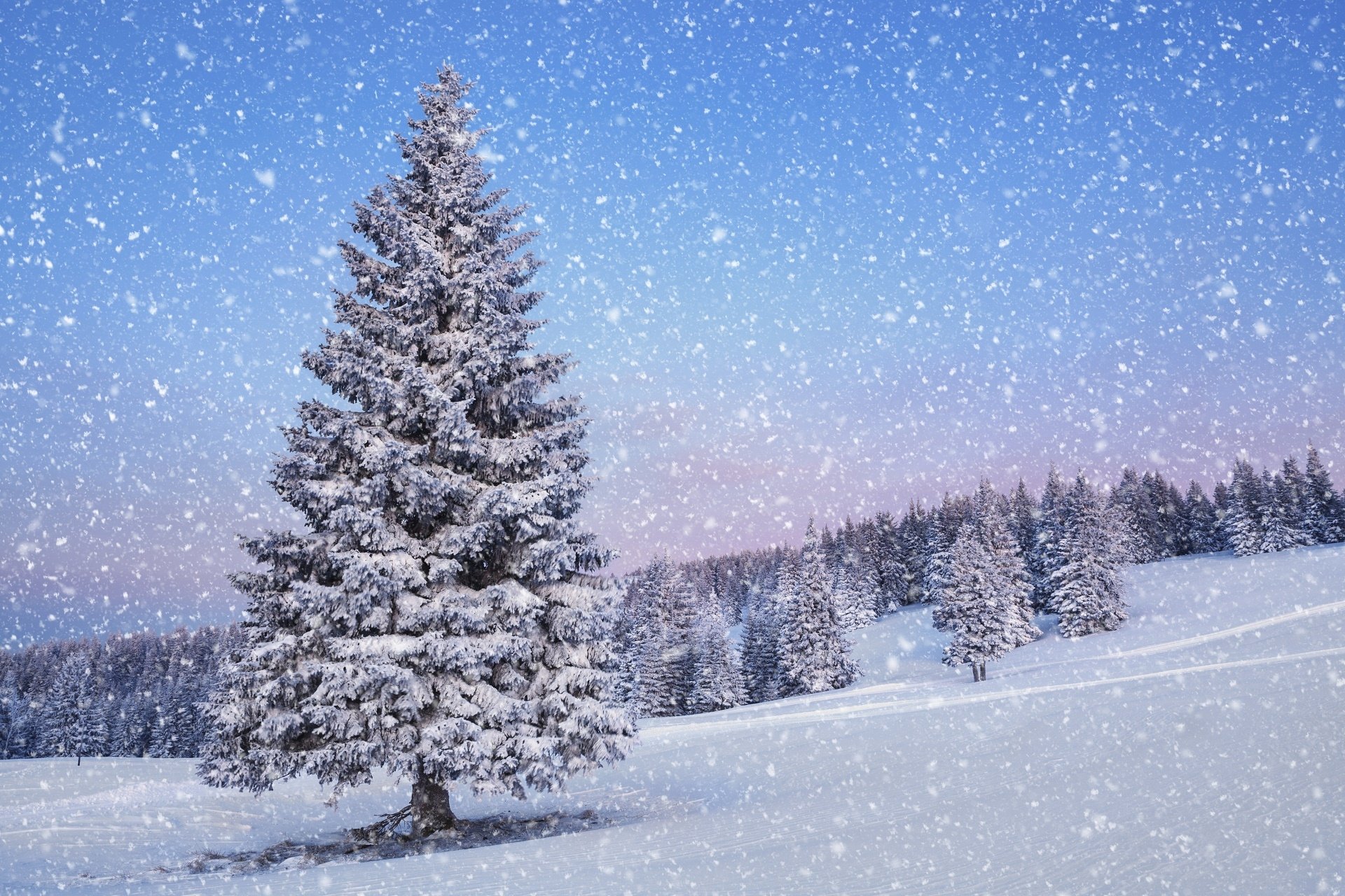 Winter Full HD Wallpaper and Background Image | 1920x1280 | ID:667716