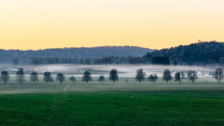sunset nature grass field fog tree meadow photography landscape HD Desktop Wallpaper | Background Image