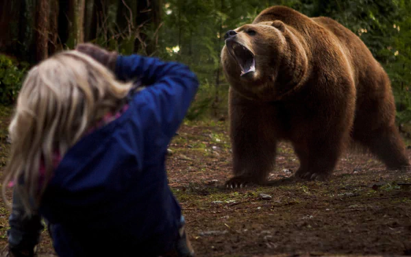 HD desktop wallpaper from the movie Into the Grizzly Maze, showing a person photographing a large grizzly bear in a dense forest.
