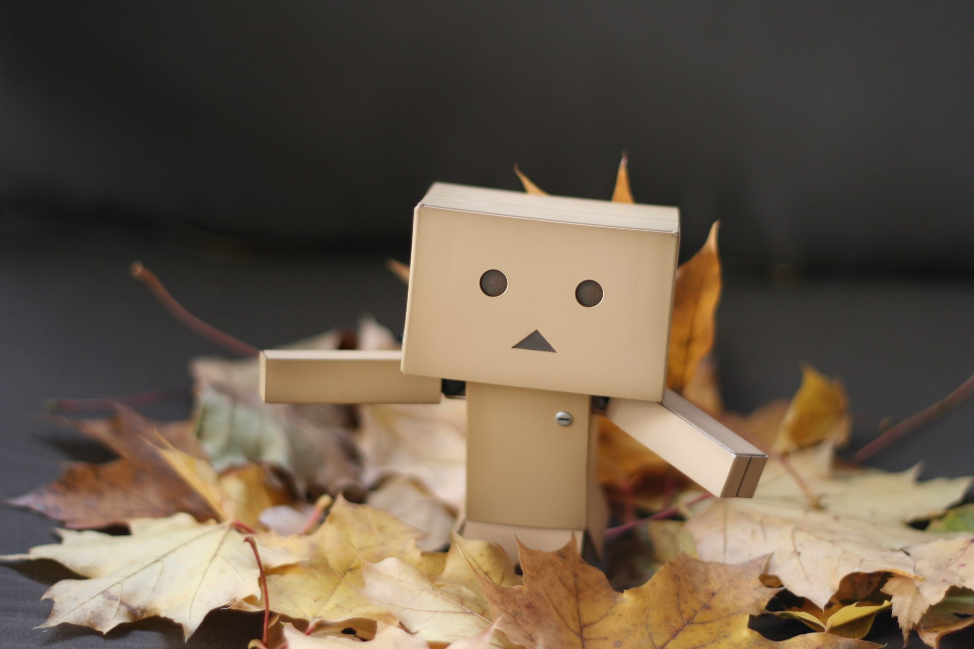 Download Misc Danbo 4k Ultra HD Wallpaper