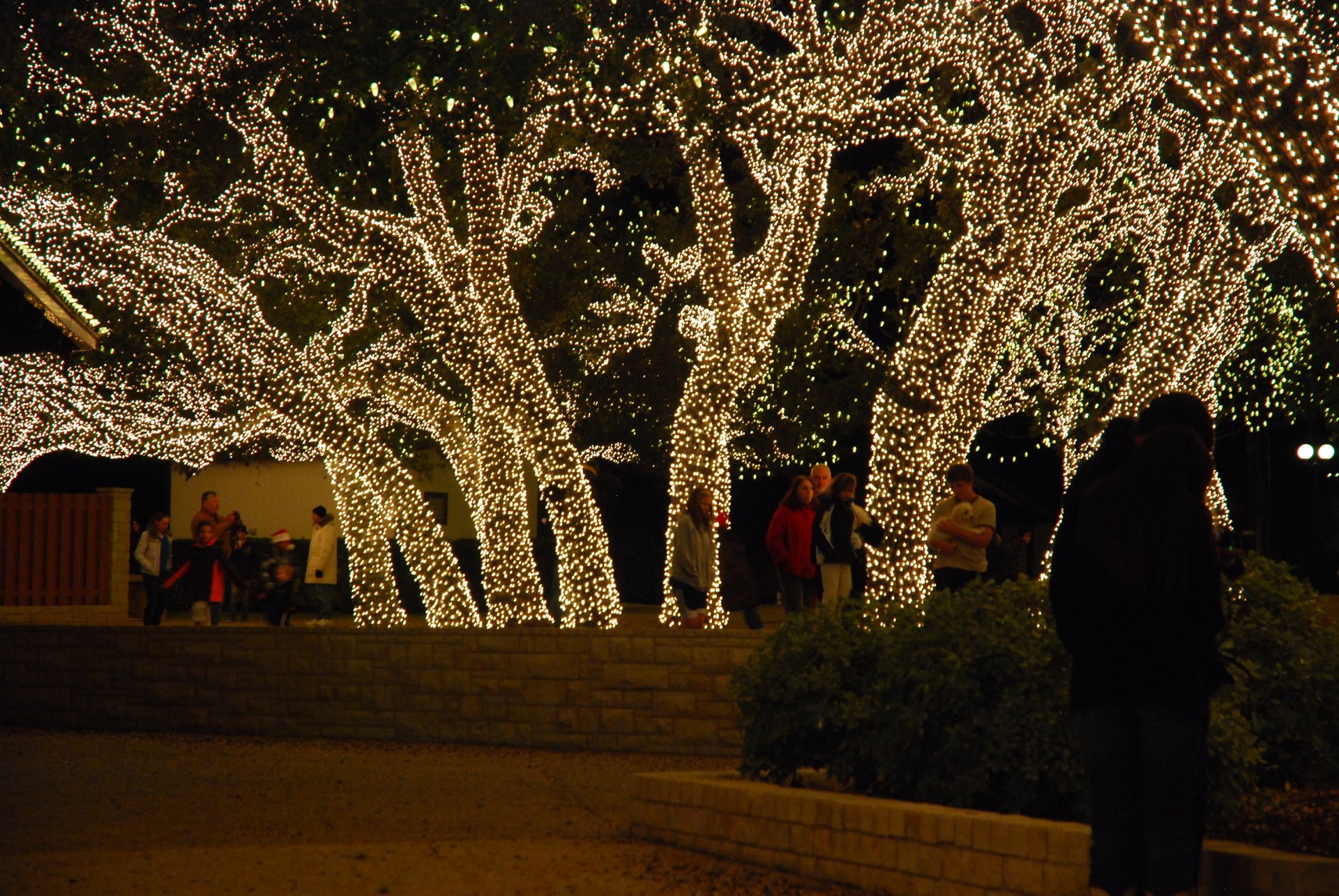 Download Christmas Lights Holiday Christmas 4k Ultra HD Wallpaper