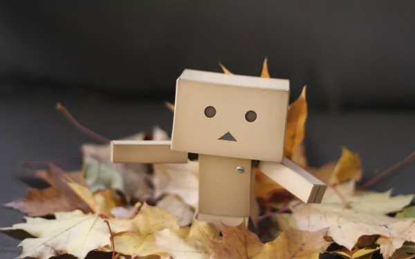 Misc danbo HD Desktop Wallpaper | Background Image