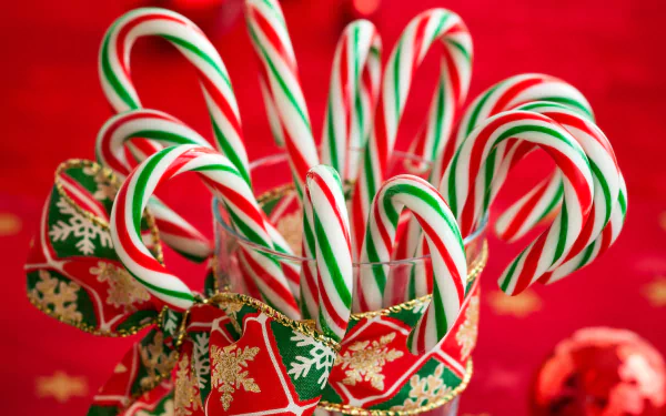 candy cane holiday Christmas HD Desktop Wallpaper | Background Image