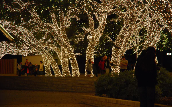 christmas lights holiday Christmas HD Desktop Wallpaper | Background Image