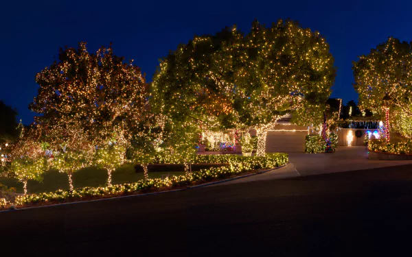 christmas lights holiday Christmas HD Desktop Wallpaper | Background Image