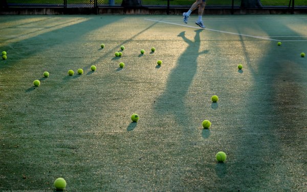 Sports Tennis Ball HD Wallpaper | Background Image