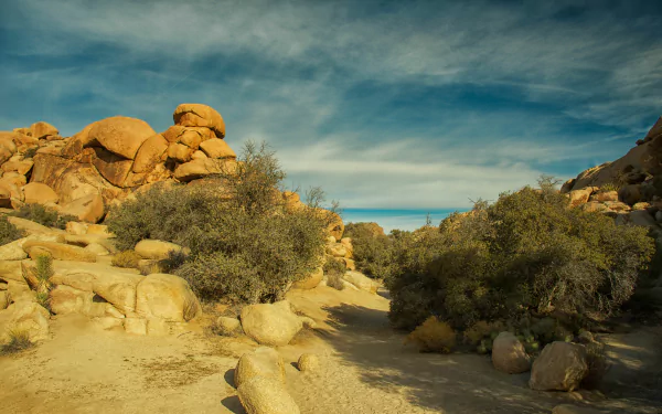 cloud sky nature Joshua Tree National Park HD Desktop Wallpaper | Background Image