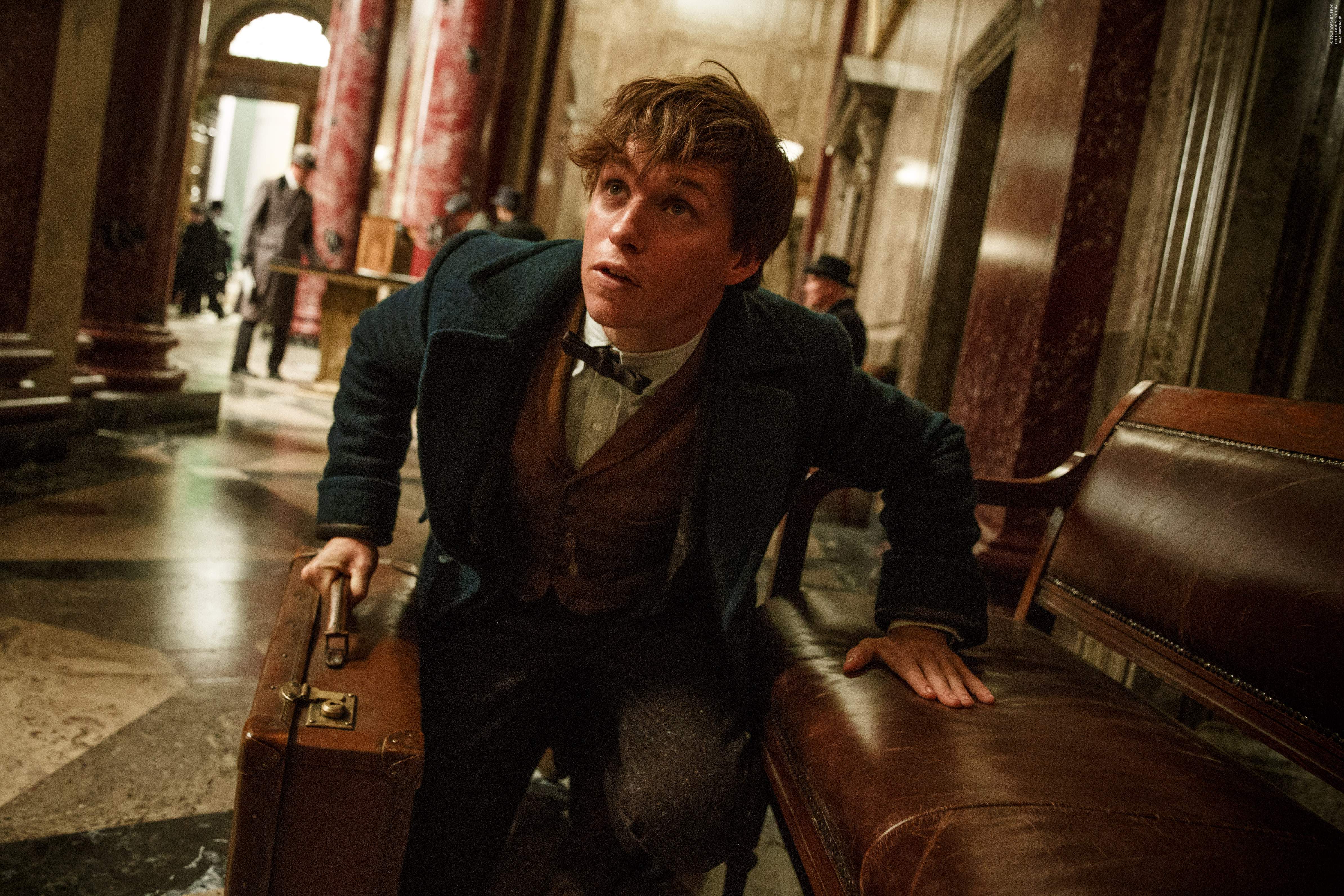Fantastic Beasts and Where to Find Them 4k Ultra HD Wallpaper