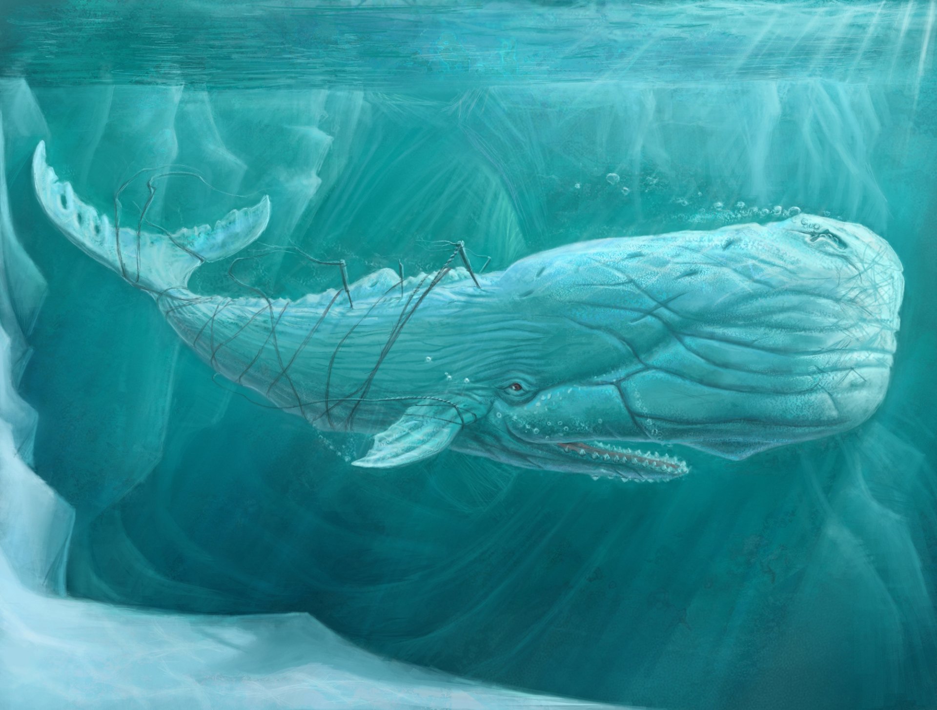 Download underwater fantasy whale hd wallpaper by anatoly muschenko
