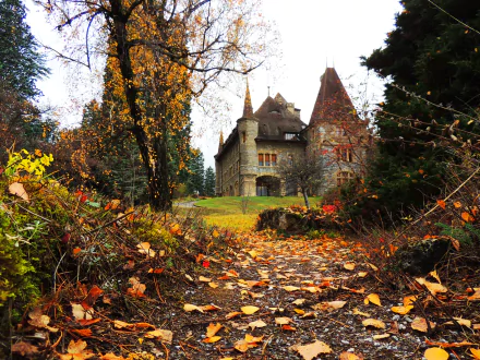 HD desktop wallpaper featuring a man-made castle surrounded by vibrant fall foliage and a leaf-covered path leading to the entrance.