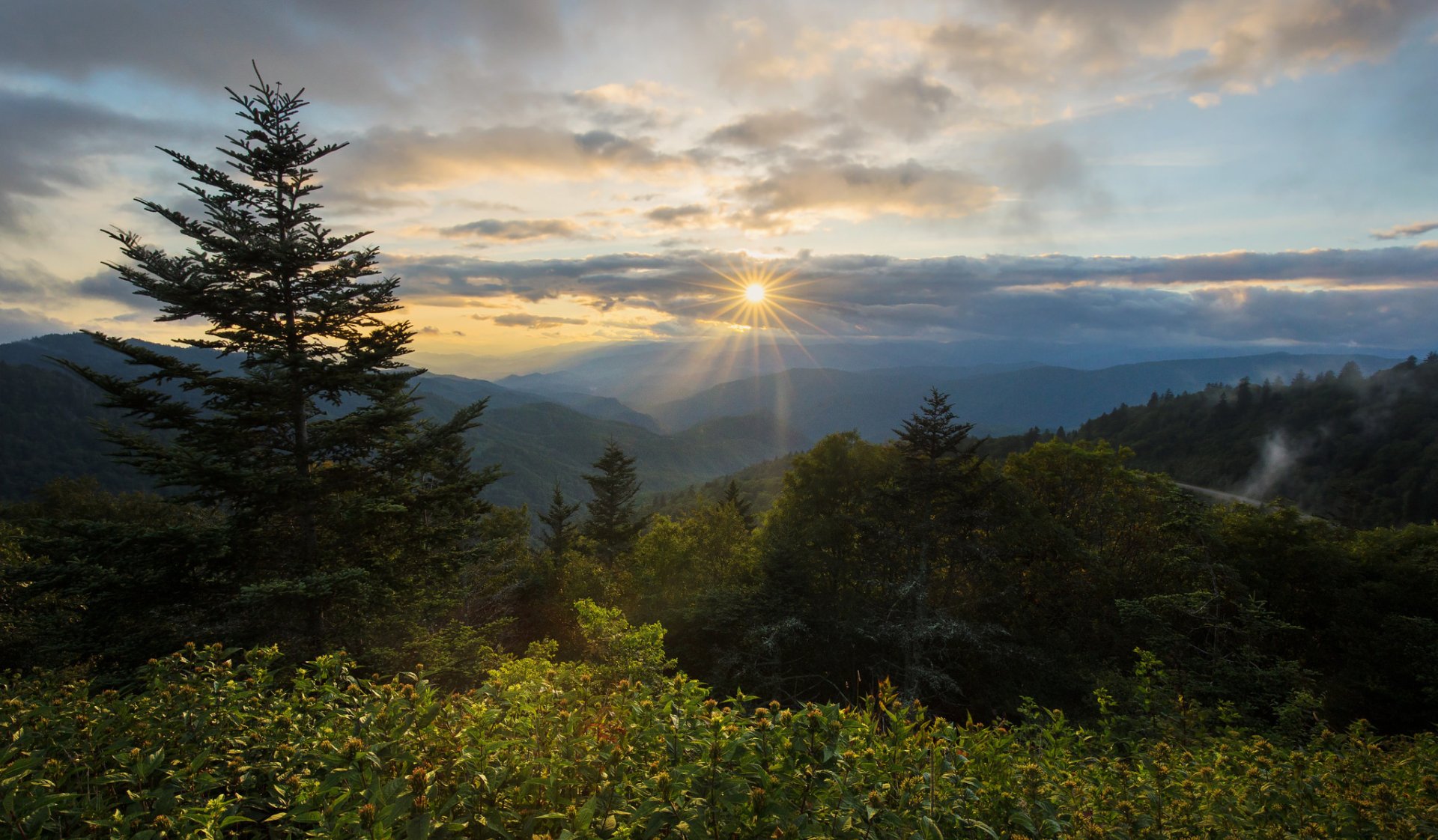 Download Forest Sunset Sunbeam Nature Landscape HD Wallpaper ...