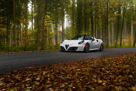  Alfa Romeo 4C by Pogea Racing