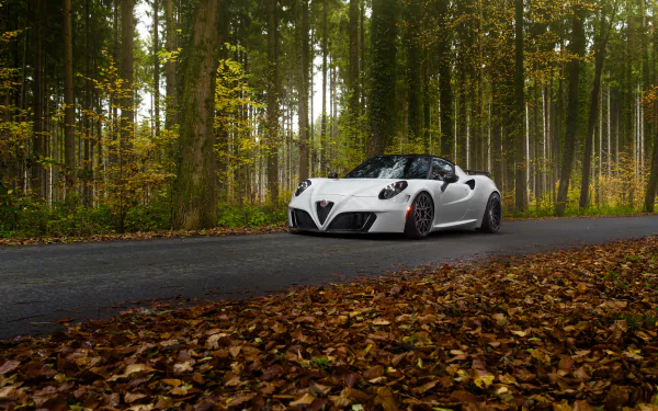  Alfa Romeo 4C by Pogea Racing