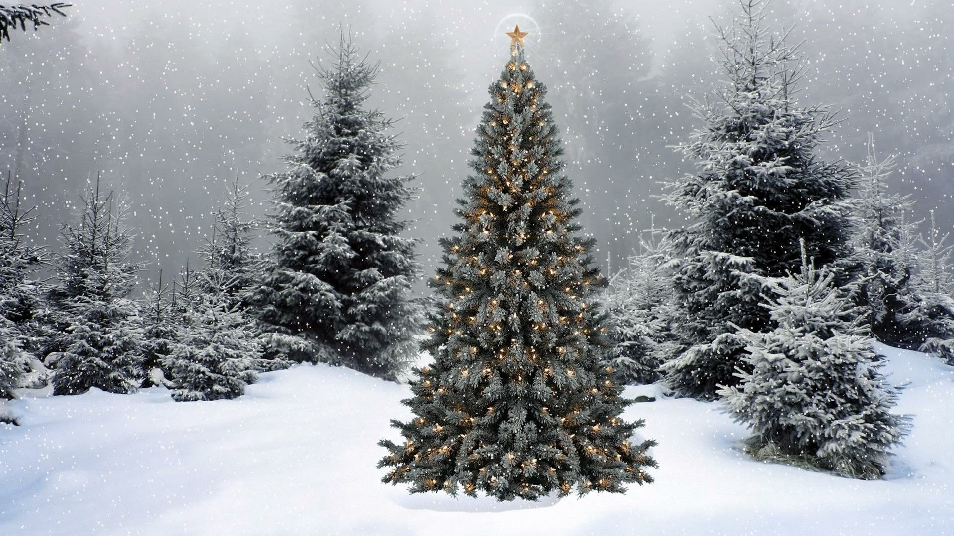 A beautifully decorated Christmas tree stands amidst a snowy winter landscape, surrounded by frosted evergreens, creating a serene holiday atmosphere. HD wallpaper for festive cheer.